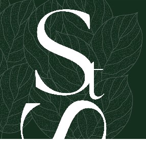 logo St&eacute;phane Sitbon Psychoth&eacute;rapeute