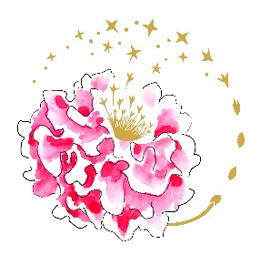 logo marie Rapha&euml;l